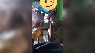 Didogi Bank Keliling Gara" Telat Bayar Https://linktr.ee/bookingpsk