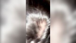 Beautiful Cute Sexy Punjabi Girl Blowjob Hard Fucking