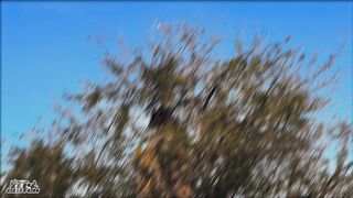 Elly Clutch - Fucking my wife and her SECRET LESBIAN LOVER - Elly Clutch and Susie Stellar