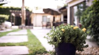 Ellie Nova Perfect Body Brunette