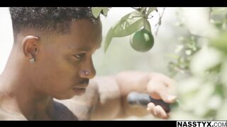 Ada Paradiso Nasstyx - LittleCaprice-Dreams